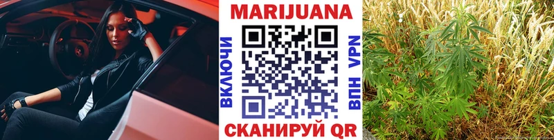 цены наркотик  Закаменск  Конопля гибрид 